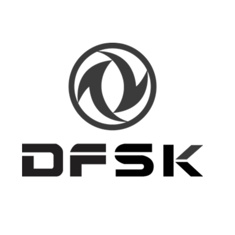 dfsk